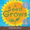 Go to record A seed grows