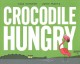Go to record Crocodile hungry