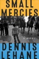 Go to record Small mercies : a novel
