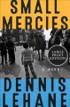 Go to record Small mercies a novel