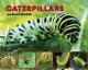 Go to record Caterpillars