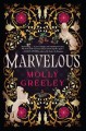 Go to record Marvelous : a novel