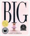 Go to record Big