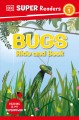 Go to record Bugs hide and seek