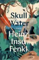 Go to record Skull water