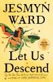 Go to record Let us descend : a novel