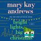 Go to record Bright lights, big Christmas a novel