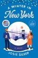 Go to record A winter in New York a novel