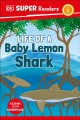 Go to record Life of a baby lemon shark