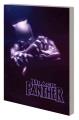 Go to record Black Panther. Reign at dusk