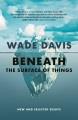 Go to record Beneath the surface of things : new and selected essays