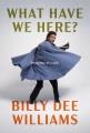 Go to record What have we here? : portraits of a life