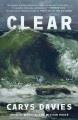 Go to record Clear : a novel