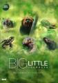 Go to record Big little journeys