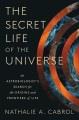 Go to record The secret life of the universe : an astrobiologist's sear...
