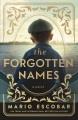 Go to record The forgotten names : a novel