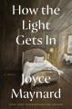 Go to record How the light gets in : a novel