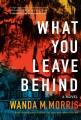 Go to record What you leave behind : a novel