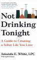 Go to record Not drinking tonight : a guide to creating a sober life yo...