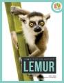 Go to record Lemur