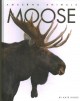 Go to record Moose