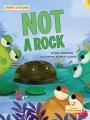 Go to record Not a rock