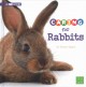 Go to record Caring for rabbits : a 4D book