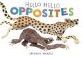 Go to record Hello hello opposites