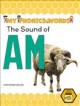 Go to record The sound of am