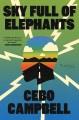 Go to record Sky full of elephants