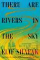 Go to record There are rivers in the sky : a novel