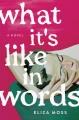 Go to record What it's like in words : a novel