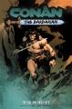 Go to record Conan the Barbarian. Volume 3, The age unconquered