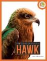 Go to record Hawk