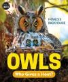 Go to record Owls : who gives a hoot?