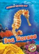Go to record Sea horses