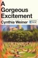 Go to record A gorgeous excitement : a novel