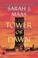 Go to record Tower of dawn