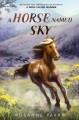 Go to record Horse Named Sky.
