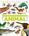 Go to record The animal book : a visual encyclopedia of life on Earth