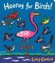 Go to record Hooray for birds!