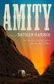 Go to record Amity : A Novel.