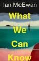 Go to record What We Can Know : A Novel.