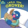 Go to record Laila Tov, Grover!