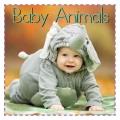 Go to record Baby Animals