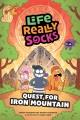 Go to record Life Really Socks (Volume 2) : Quest for Iron Mountain.