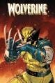 Go to record Wolverine, Vol. 2 Call Of The Adamantine.
