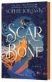 Go to record A Scar in the Bone : A Novel.