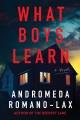Go to record What Boys Learn.