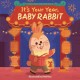 Go to record It's your year, baby rabbit